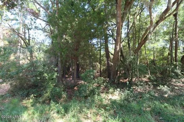 St. Helena Island, SC 29920,234 Sam Doyle DR Drive