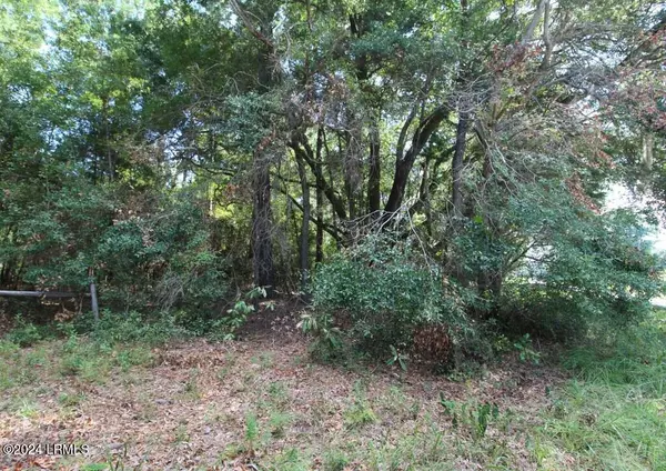 St. Helena Island, SC 29920,234 Sam Doyle DR Drive