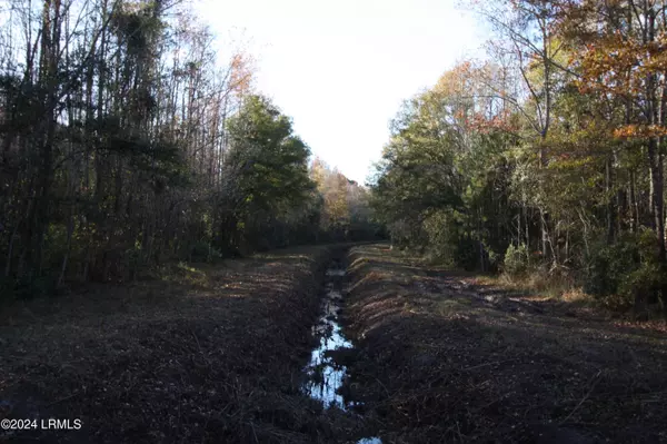 Ridgeland, SC 29936,Tbd Preschool RD Road