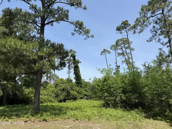 Hilton Head Island, SC 29926,5 Caladium CT Court