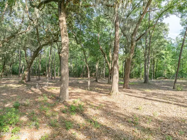 St. Helena Island, SC 29920,49 Sea Pines DR Drive