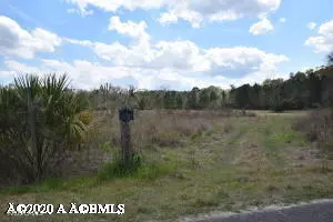 Sheldon, SC 29941,163 Cuthbert Farm RD Road