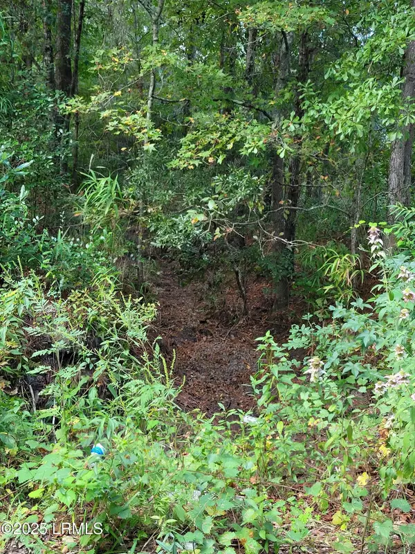 Tbd Tina Manker RD Road, Ridgeland, SC 29936