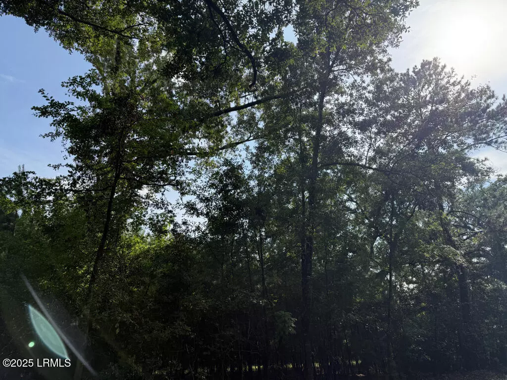 Seabrook, SC 29940,12 Bellinger Lake DR Drive