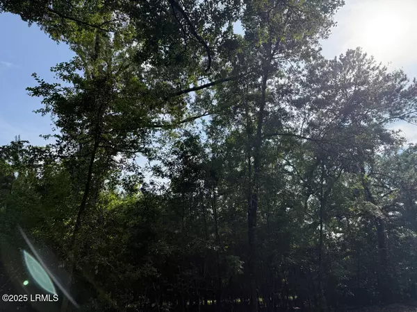12 Bellinger Lake DR Drive, Seabrook, SC 29940