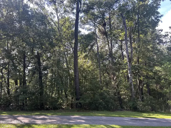 Seabrook, SC 29940,96 Barnaby BLF Bluff