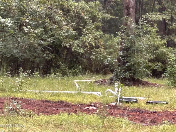 Seabrook, SC 29940,29 Porches Hill RD Road