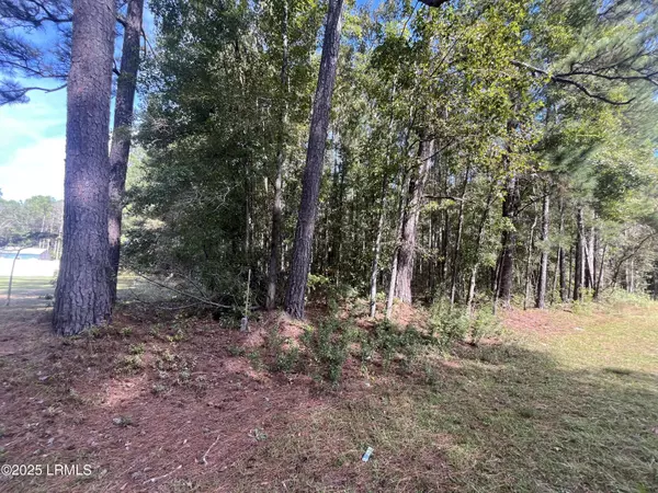 Ridgeland, SC 29936,5319 Tillman RD Road