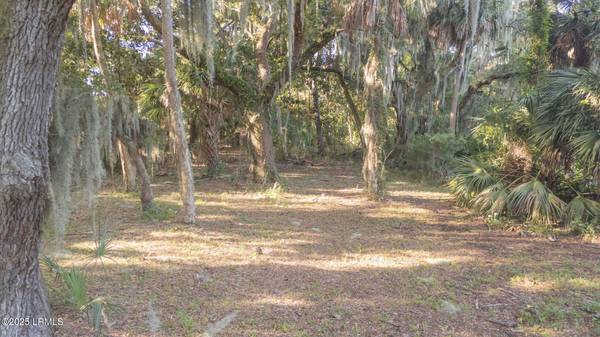 20 Harbor River CIR Circle, St. Helena Island, SC 29920