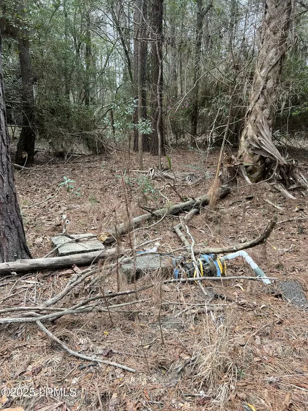 Hollywood, SC 29449,4910 Highway 162