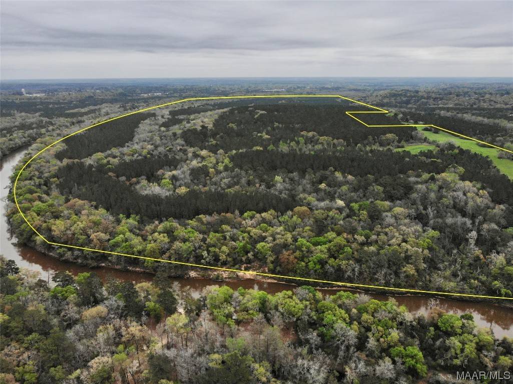 466ac County Road 76 Land, Geneva, AL 36340