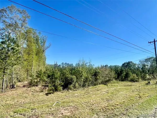 Elba, AL 36323,00 Highway 87