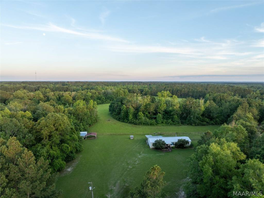 921 Mixon Miller RD, Samson, AL 36477