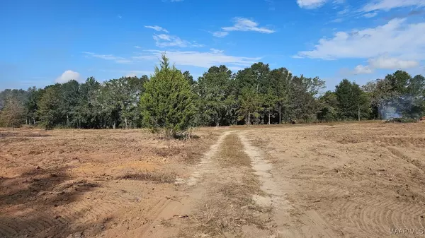 Midland City, AL 36350,9.5 Acres - LOT 1 County Road 67