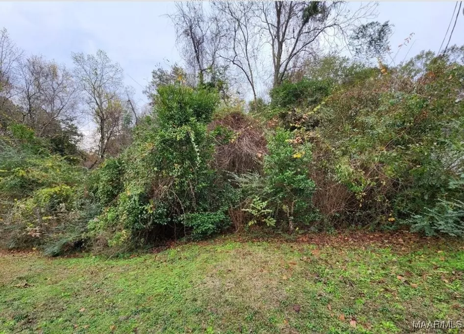 Enterprise, AL 36330,610 Green DR