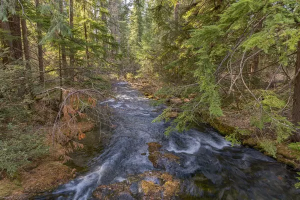 Prospect, OR 97536,56484 Highway 62