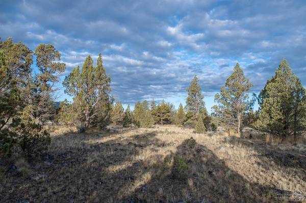 Prineville, OR 97754,6012 George Millican RD