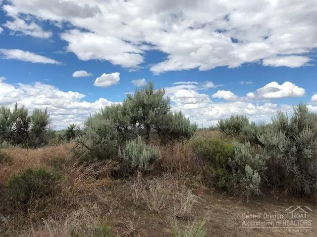 Christmas Valley, OR 97641,1600 No Name(off Fossil Lake Rd) RD