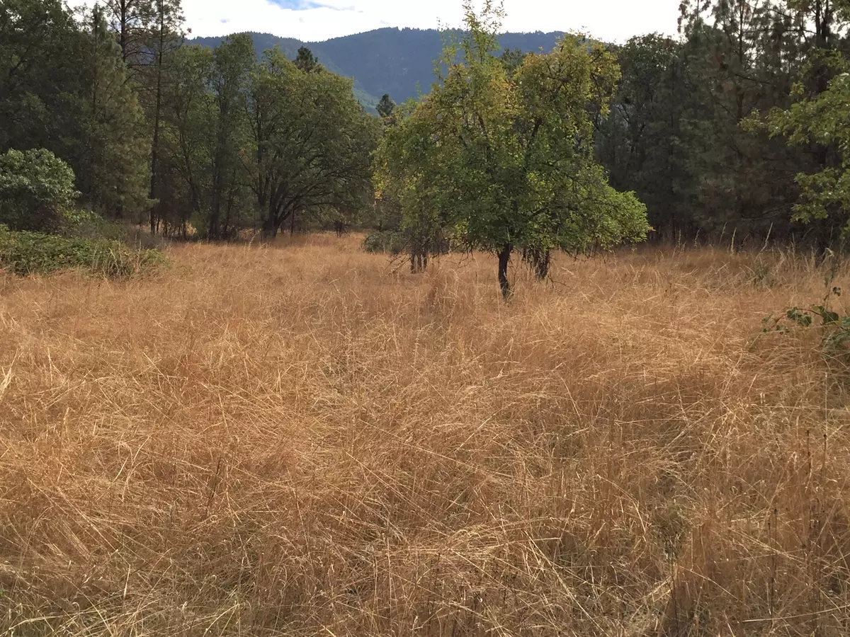 Grants Pass, OR 97527,1601 Hamilton LN