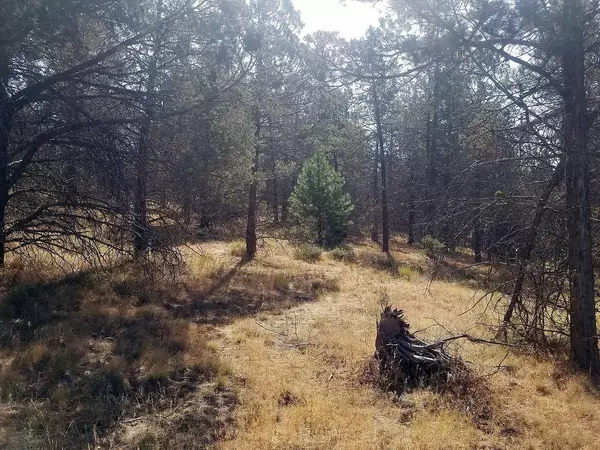 Klamath Falls, OR 97601,1123 Red Willow DR