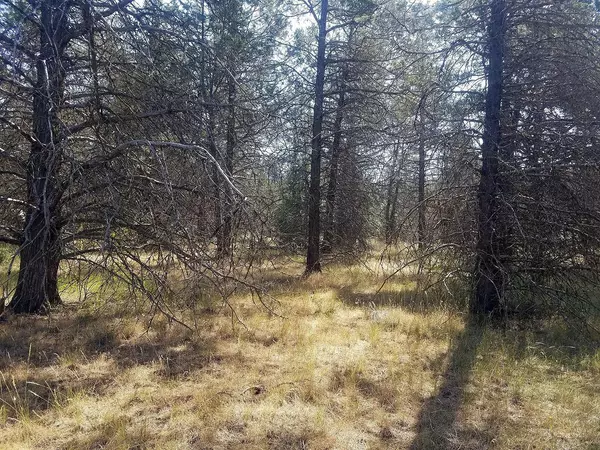 Klamath Falls, OR 97601,1123 Red Willow DR