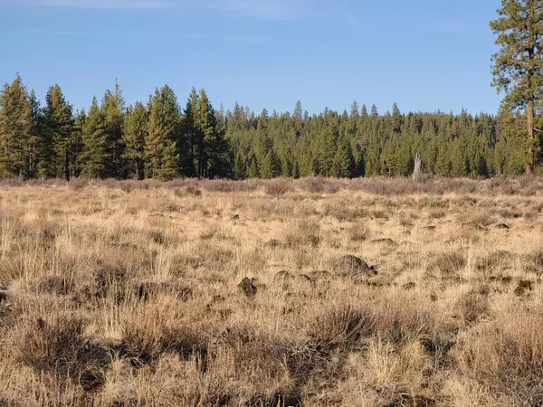 Beatty, OR 97621,Lot 15 Yellow Pine RD