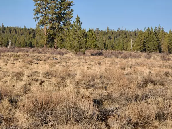 Beatty, OR 97621,Lot 15 Yellow Pine RD