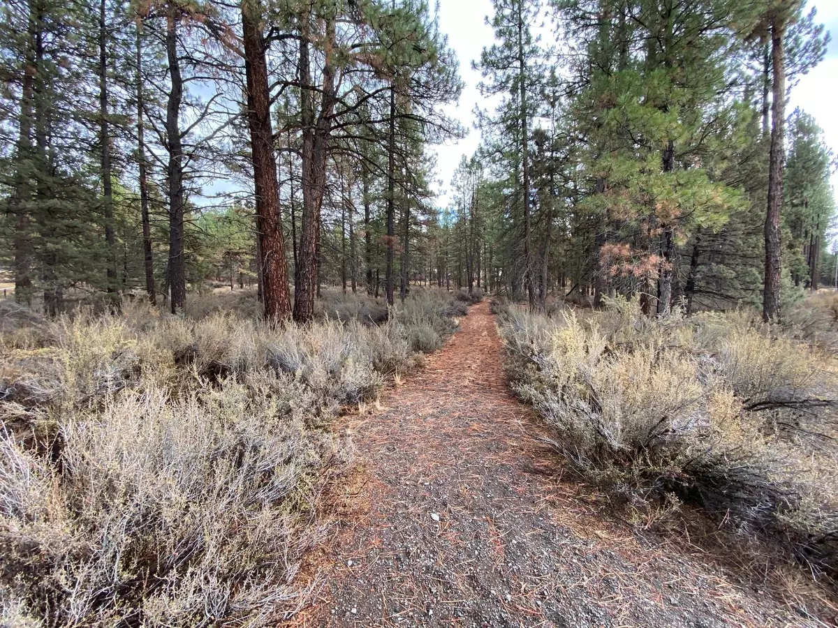 Bonanza, OR 97623,0 Bly Mtn Cutoff RD