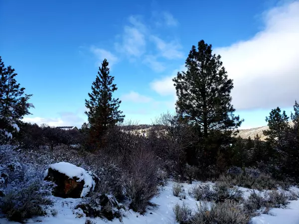 Klamath Falls, OR 97601,19 Wilderness CT