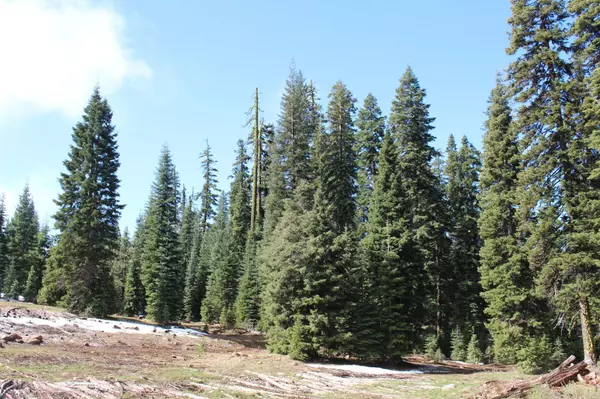 Klamath Falls, OR 97621,0 Keno Access Road - 482