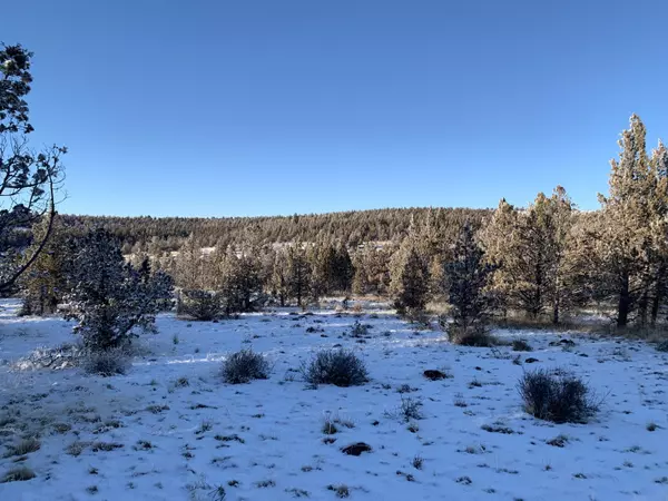 Prineville, OR 97754,10201 Wolf RD