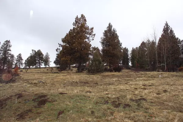 Crossbill #Lot 1068, Klamath Falls, OR 97601