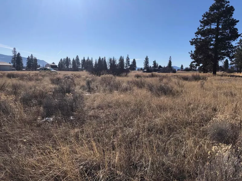 Meadow View DR #lot 31, Chiloquin, OR 97624