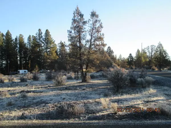 Bly, OR 97622,Lot 45 Mokas and Qlidis DR