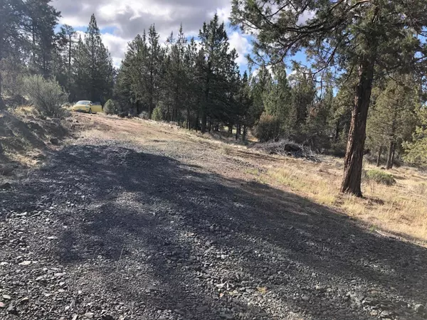 Bonanza, OR 97623,Canvassback DR #lot 1200