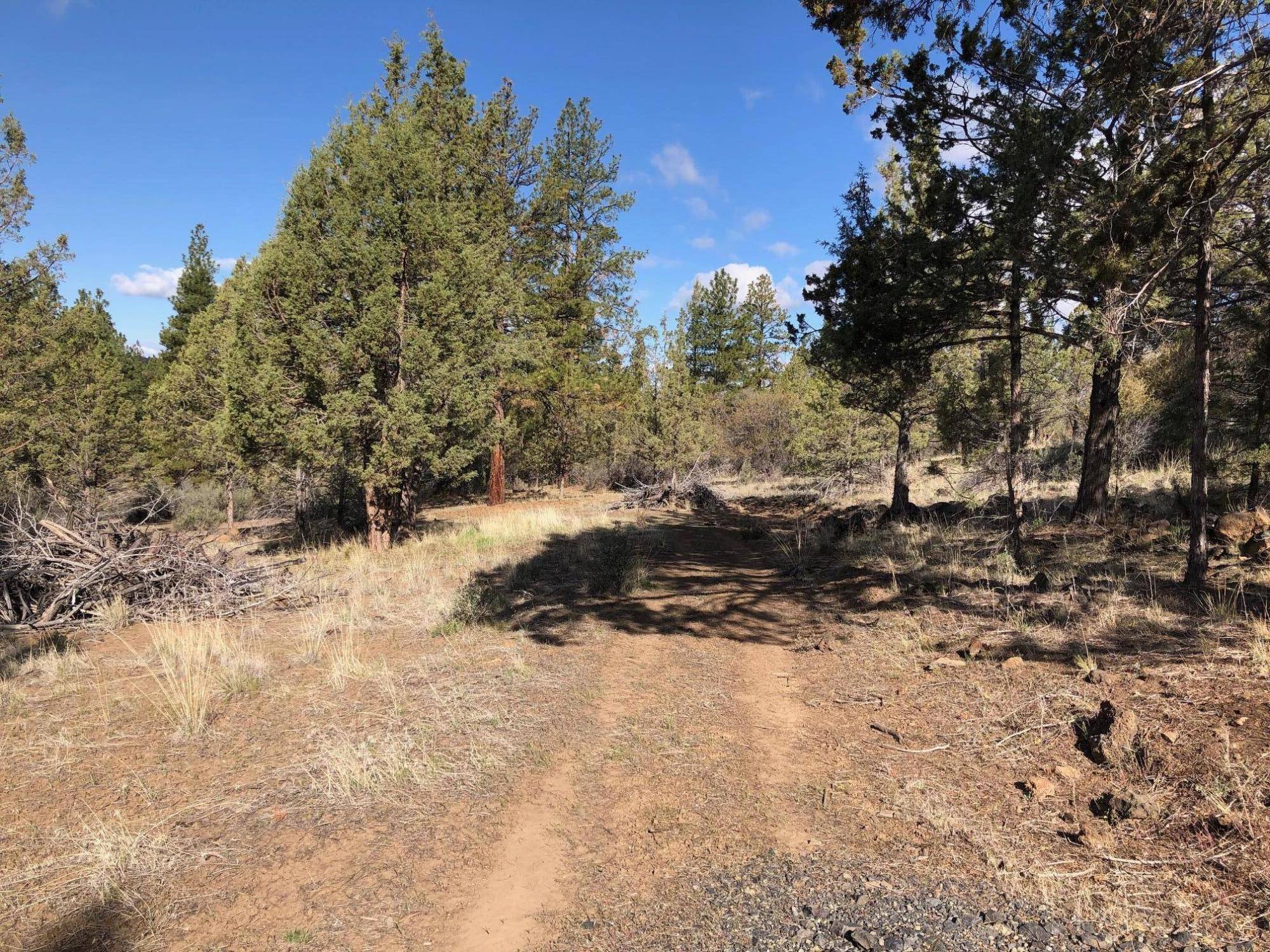 Bonanza, OR 97623,Canvassback DR #lot 1200