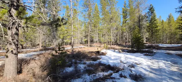 Chemult, OR 97731,5 Miller ST