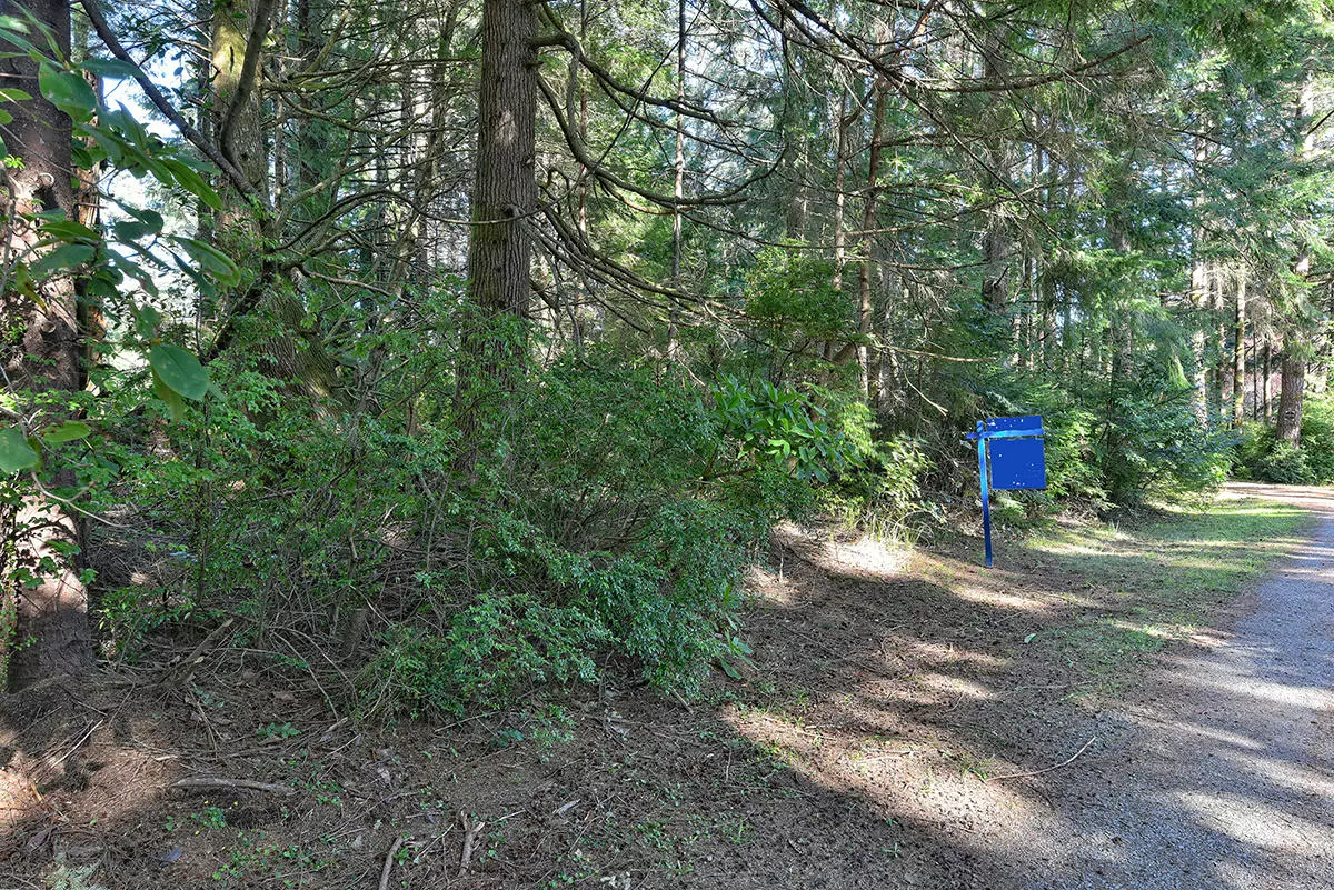 Port Orford, OR 97465,TL306 Park RD