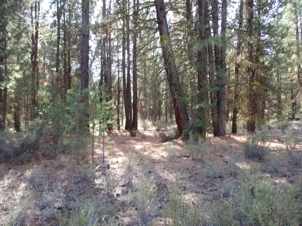 Bl 7 lt 11 Cave DR #tract 1107, Chiloquin, OR 97624