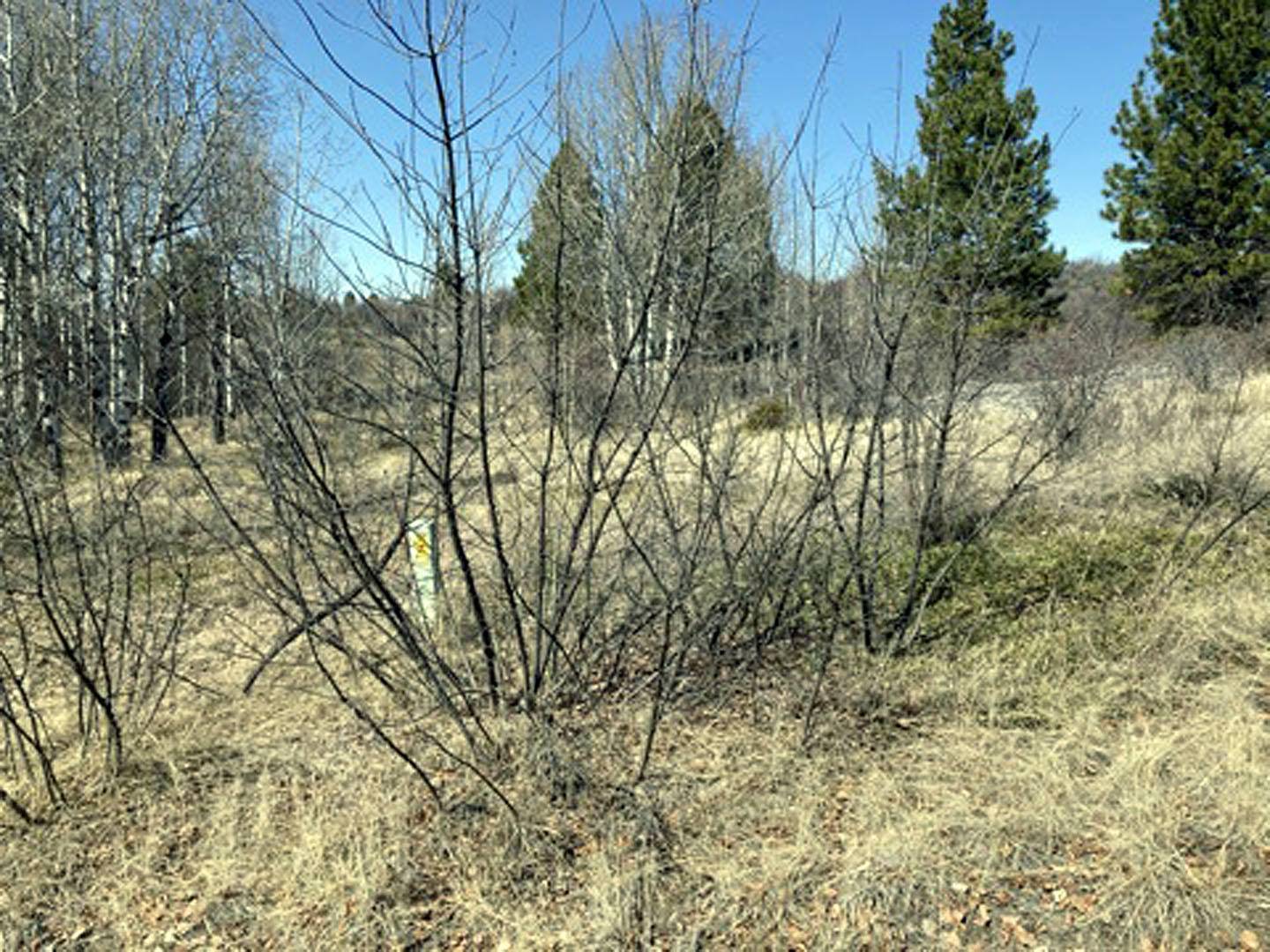 Chiloquin, OR 97624,14/5/6/7 Shore View DR
