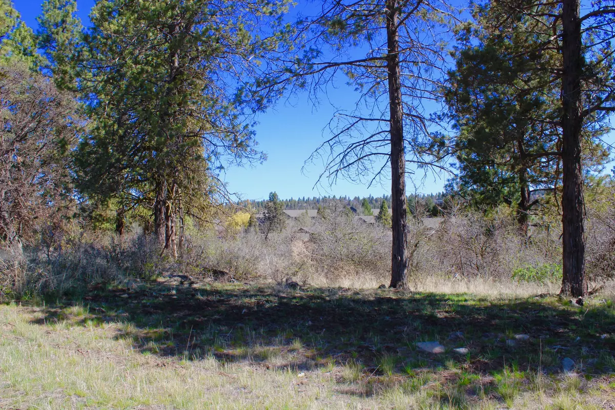 Klamath Falls, OR 97601,Lot 969 Crossbill