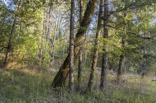 Grants Pass, OR 97527,1149 Sleepy Hollow LOOP