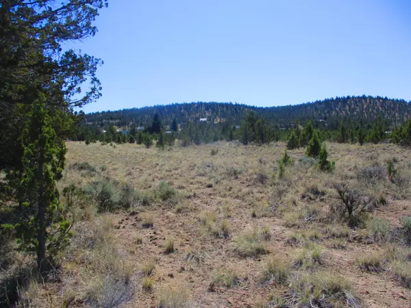 Prineville, OR 97754,TL1100 Juniper Canyon RD