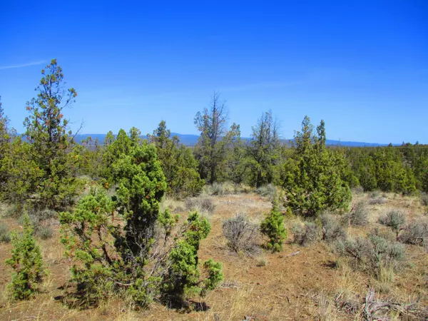 Prineville, OR 97754,TL1100 Juniper Canyon RD