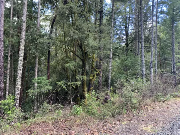 Selma, OR 97538,0 Forest Creek Rd