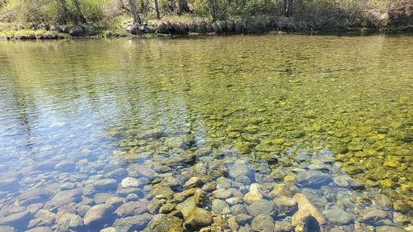Cave Junction, OR 97523,4750 Waldo RD