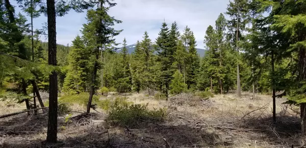 Klamath Falls, OR 97601,Lot 12 Elk ST