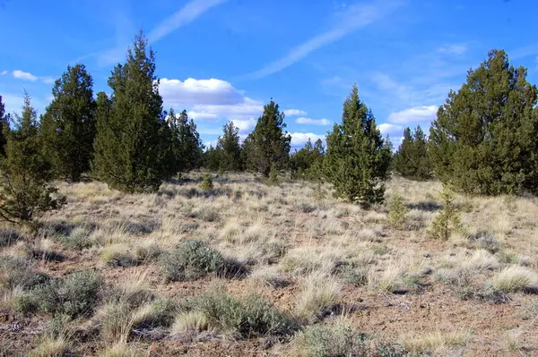 Prineville, OR 97754,TL 5300 Hilltop RD