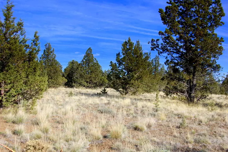 Prineville, OR 97754,TL 5300 Hilltop RD