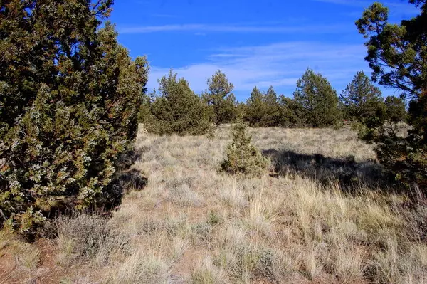 Prineville, OR 97754,TL 5300 Hilltop RD